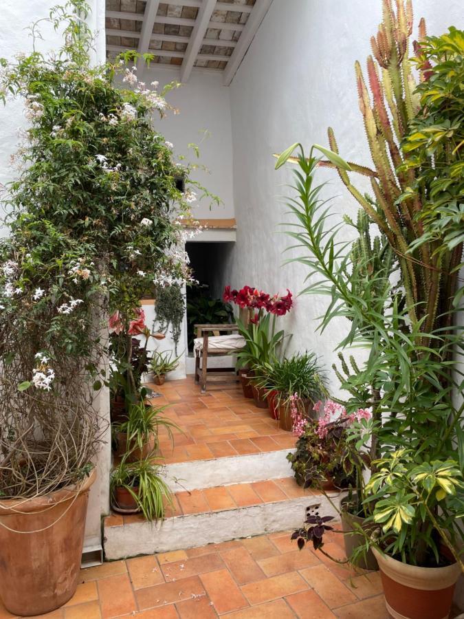 Casa Dulce Villa Vejer de la Frontera Buitenkant foto